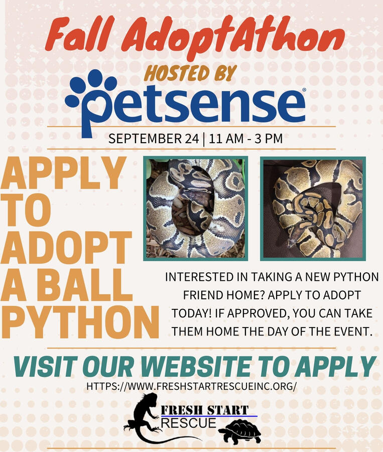 PetSense Flyer (2022)
